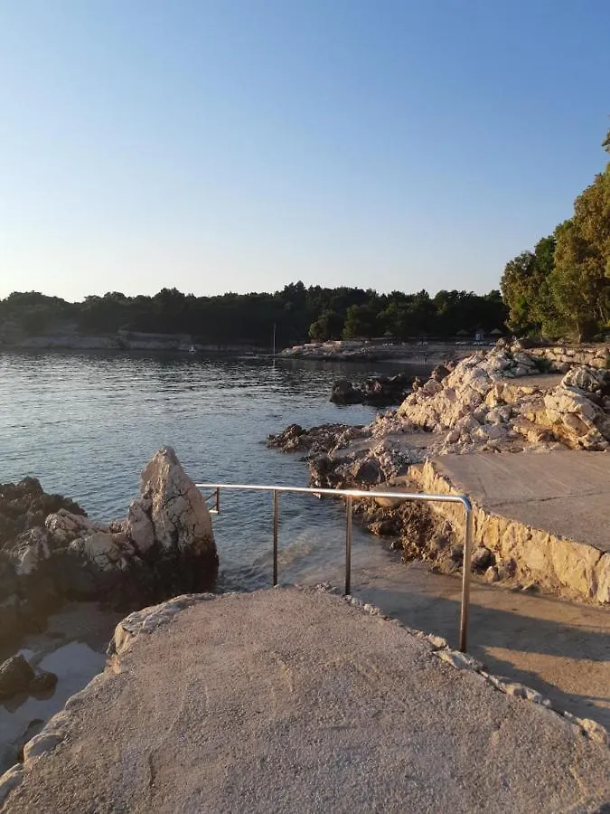 Apartmani Andreja Pinezici  Pinezici (Krk)